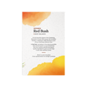 Red Seal Red Bush Traditional Herbal Tea
