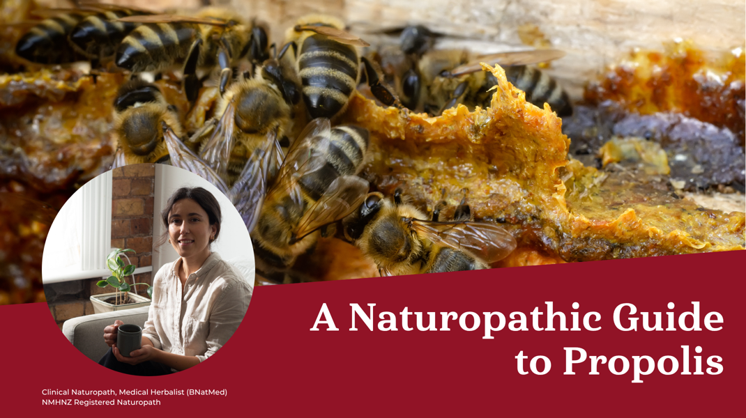 Blog Images Naturopath (5)