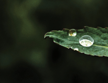 RS Website Incredible Inside Hero Image 2000 X 715Px