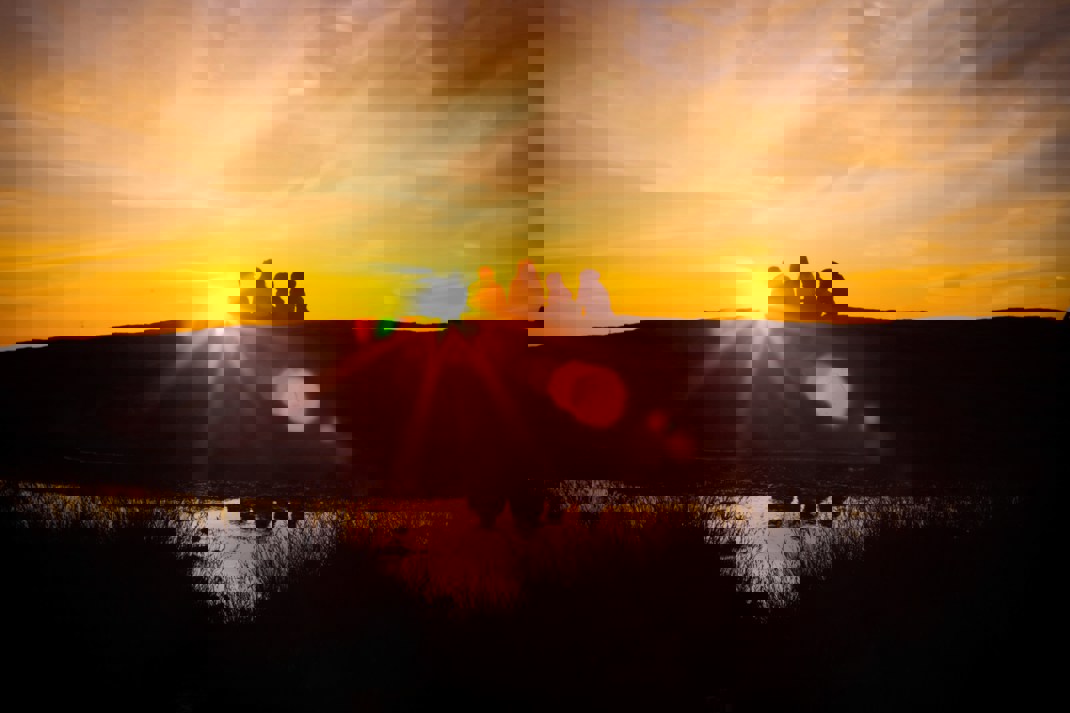 Eli Phillips D9wxq10r Jg Unsplash