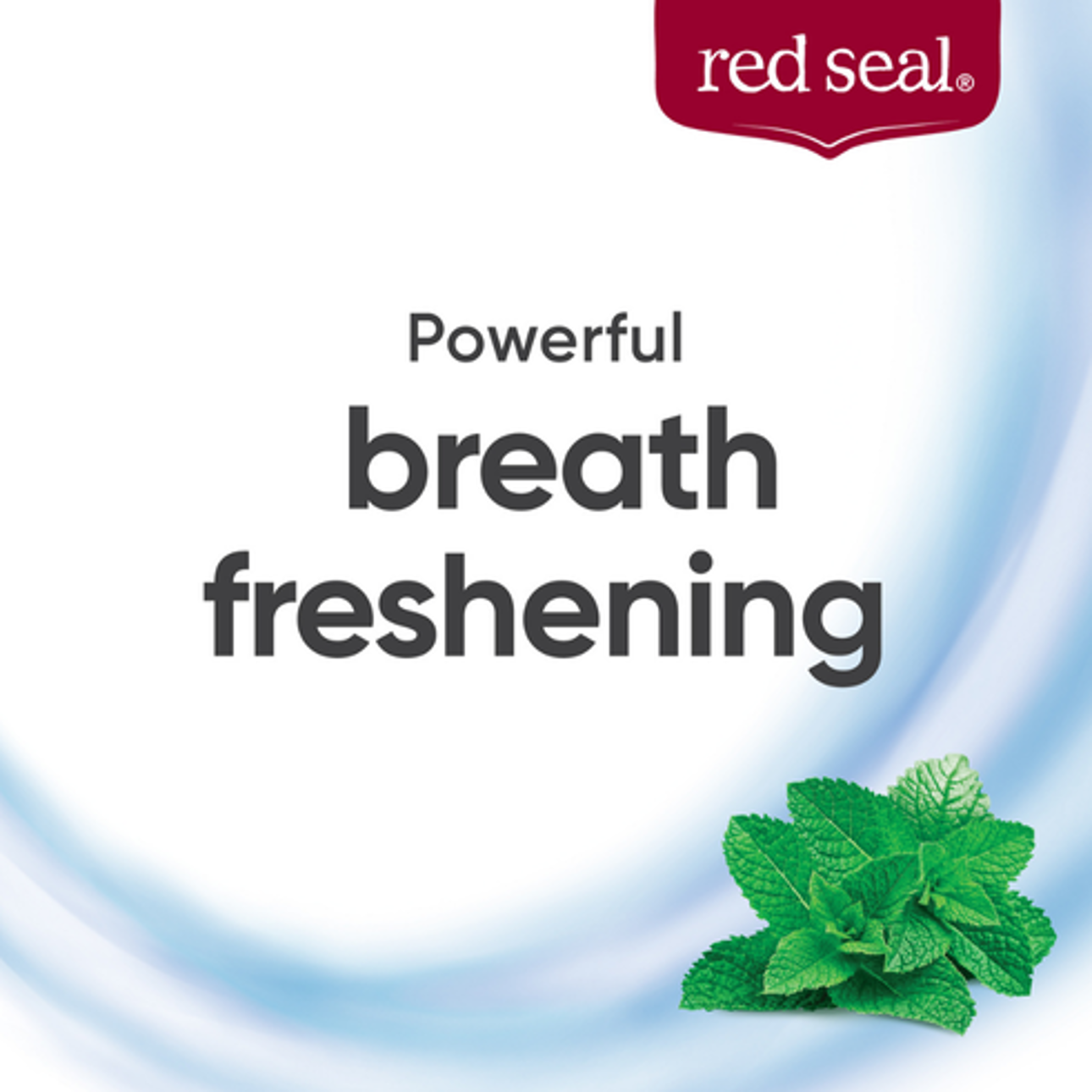 Red Seal Complete Care Toothpaste (12)
