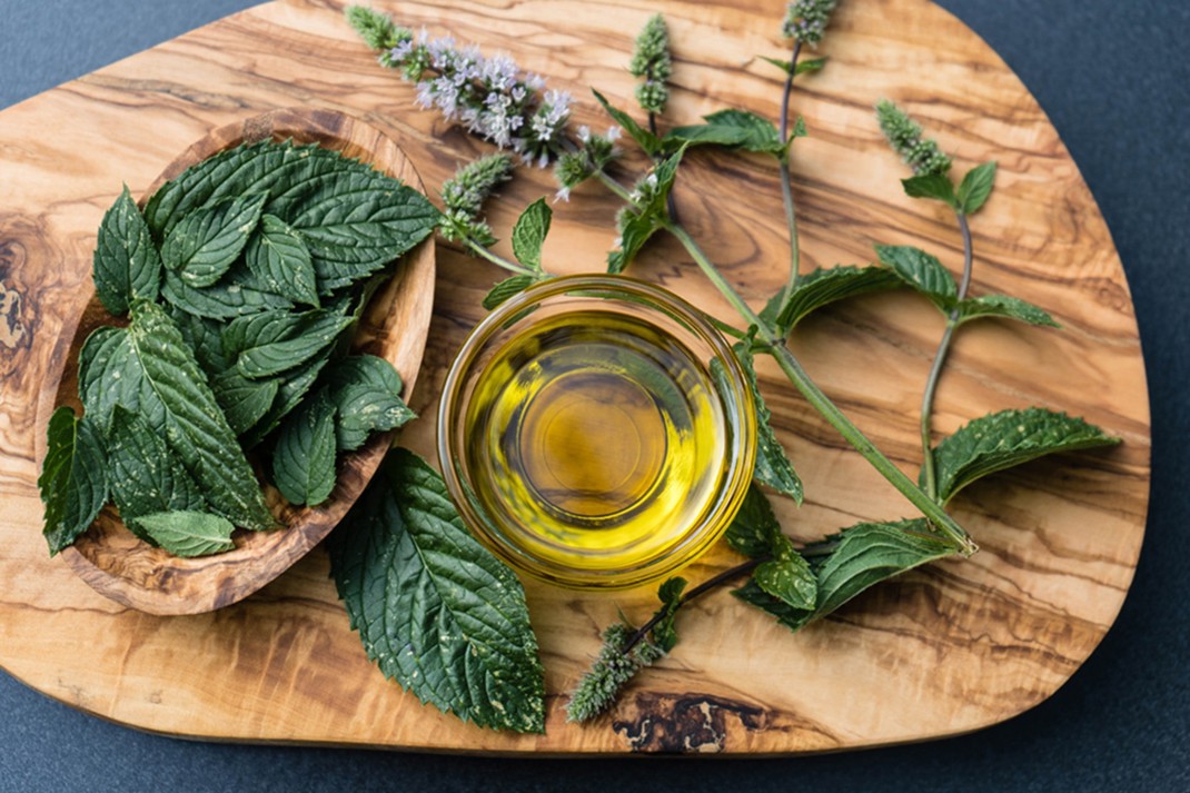 Incredible Ingredients Peppermint There’S More To Mint